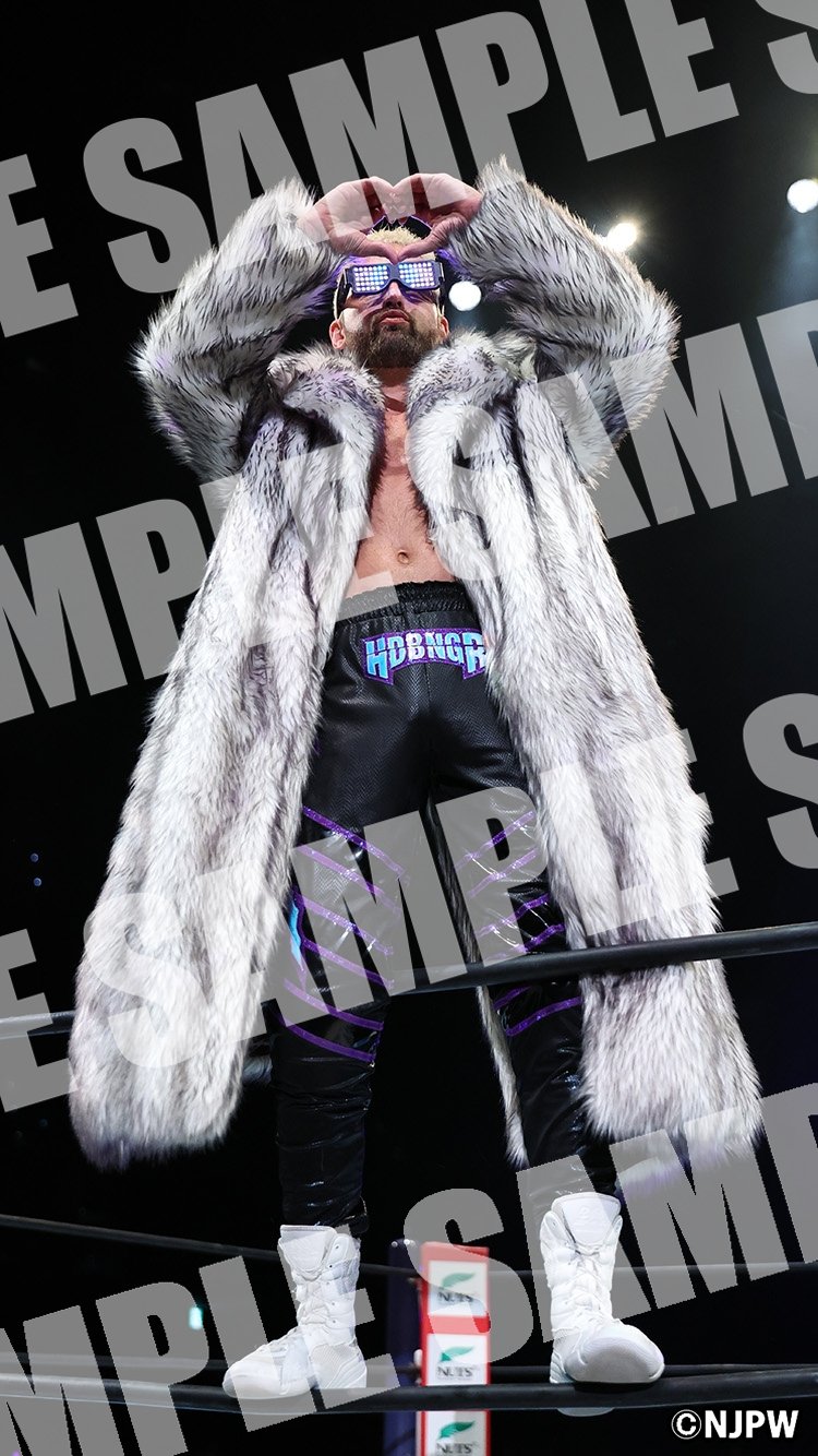 【中古】 プロレス・ファン ２０/エスエル出版会 新日本プロレス創立20周年記念オフィシャル・アルバム｛超・激