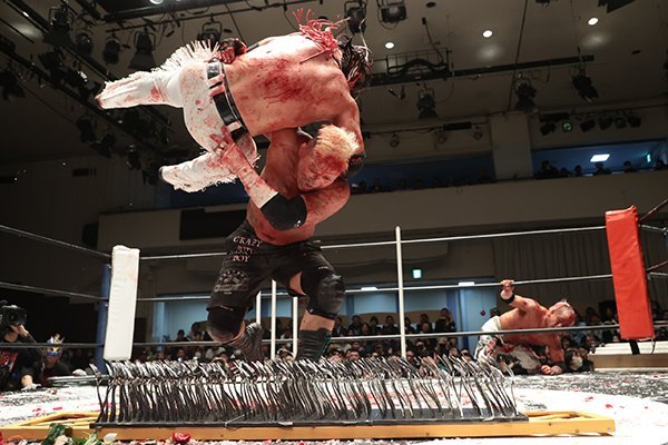 9 【エル・デスペラード】2023 ブシロード 新日本プロレス +