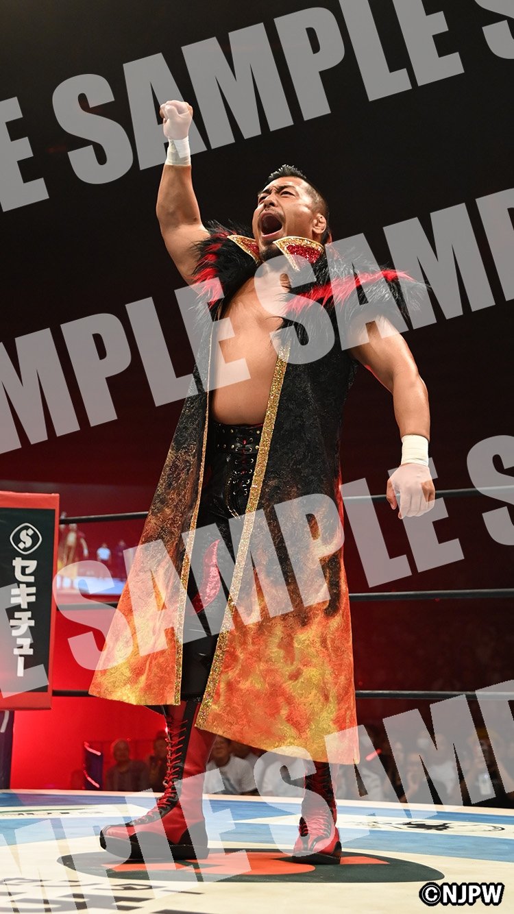 新日本プロレス 鷹木信悟 フォトフレーム 4点セット シンニチプレミアム-サイングッズ