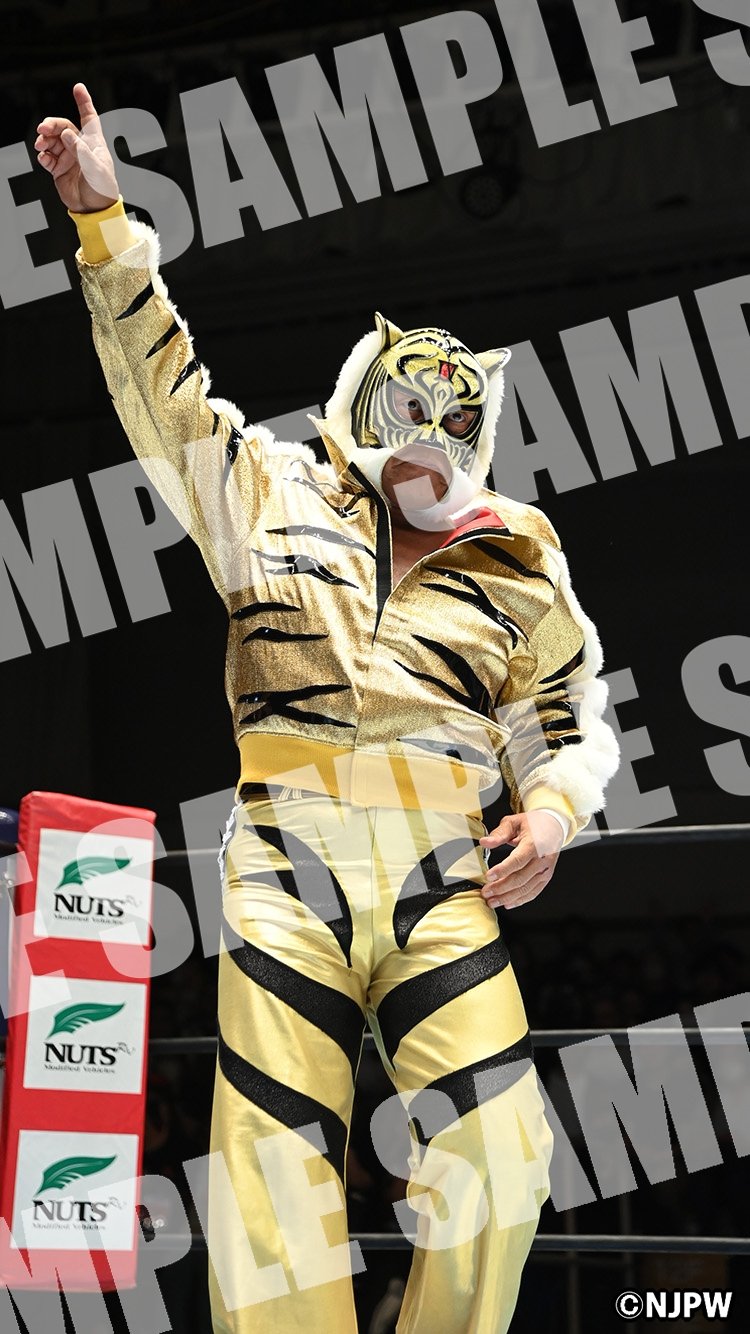 プロレスレコード 25枚セット re0209-40 タイガーマスク プロレスレコード 25枚セット re0209-40 タイガーマスク
