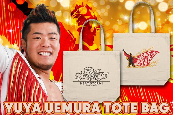 6.15大阪城ホール大会から発売！パンフレット、ライオンマーク、カラム