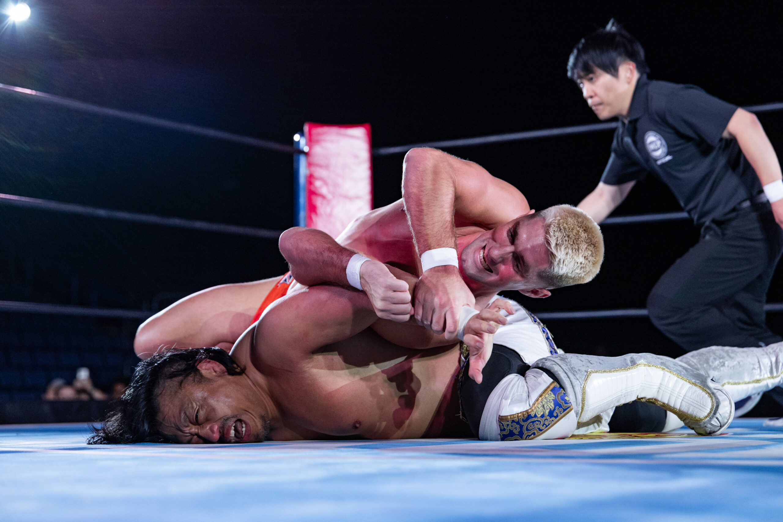 新日本プロレス　ラディカルファイト NEW JAPAN RADICAL FIGHT 100＋α Vol
