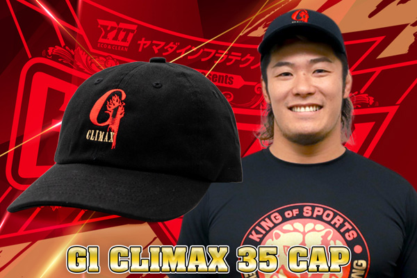 新日本プロレスリング創立３０周年記念メダル　？　文鎮　？ 新日本プロレスリング創立30周年記念メダル ？ 文鎮 ？ 新日本