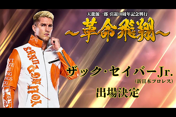 天龍源一郎 プロ格ヒーローズ 引退 プロ格ヒーローズ】天龍源一郎 引退記念ソフビフィギュア