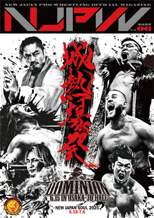 新日本プロレス会報誌、パンフレット12冊 新日本プロレス ファンクラブ会報誌 12冊セットVol.28〜39