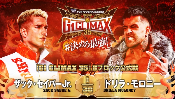 G1 CLIMAX 2008 VOL.1と2 G1 CLIMAX 2008 VOL.1と2