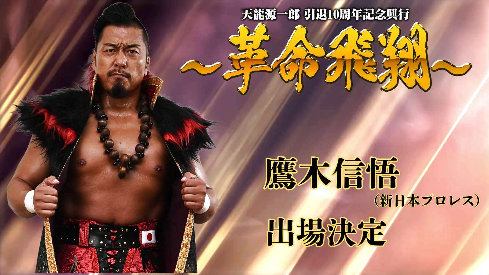 天龍源一郎 プロ格ヒーローズ 引退 プロ格ヒーローズ】天龍源一郎 引退記念ソフビフィギュア - メルカリ