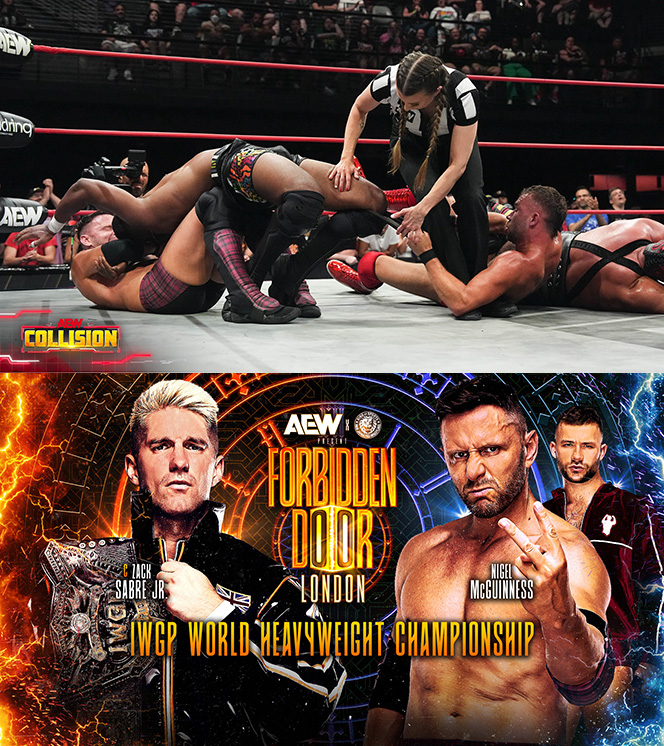 ナイジェル・マッギネスが大混戦の4WAYマッチを制して、IWGP世界ヘビー