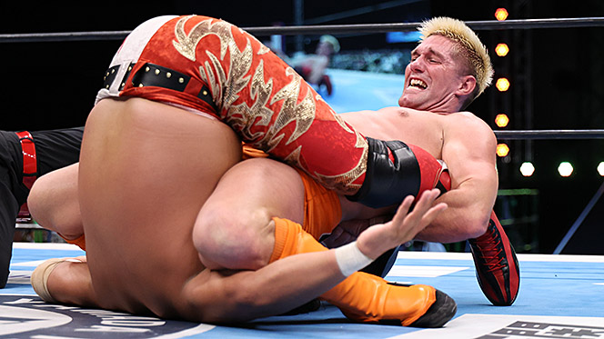 新日本プロレスリング株式会社
