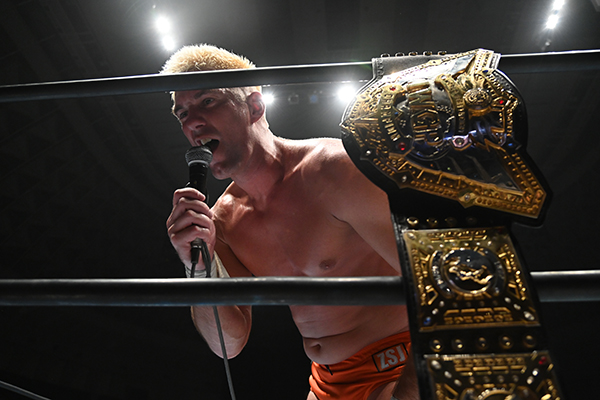 新品ケース交換済み　プロレスリングＷＡＶＥ タッグリーグ戦 ２０１２ ＆ ２０１ 新品ケース交換済み プロレスリングWAVE タッグリーグ戦