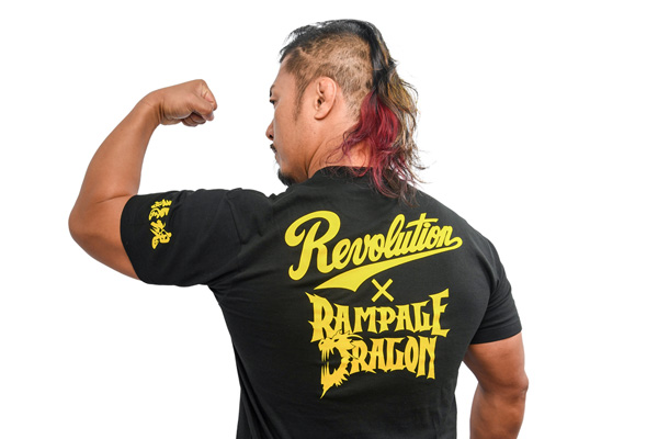 天然自然流木　ビッグな超希少　龍木竜木辰年　直接引き渡し限定　大阪府 限定》天龍プロジェクト認定タイトルホルダー直筆サイン入り記念パネル