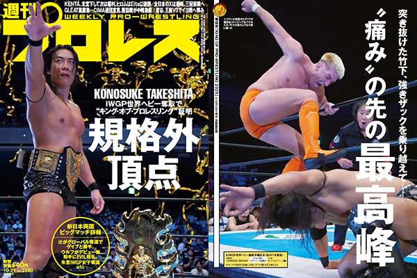 ゴング創刊13周年記念　永久保存版 THE WRESTLER BEST 100 ゴング創刊13周年記念 永久保存版 THE WRESTLER BEST 100 ゴング