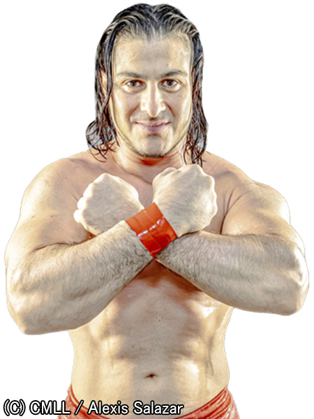 STRONG OPENWEIGHT TAG TEAM | 歴代チャンピオンクラス | 新日本