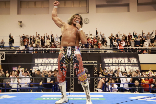 wwe入手困難品多数レスラー 11体+リング・トラック Amazon.co.jp: WWE