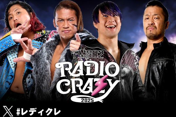 新日本プロレス2012年総集編〈2枚組〉 91cqrs4RlcL._AC_UF350,