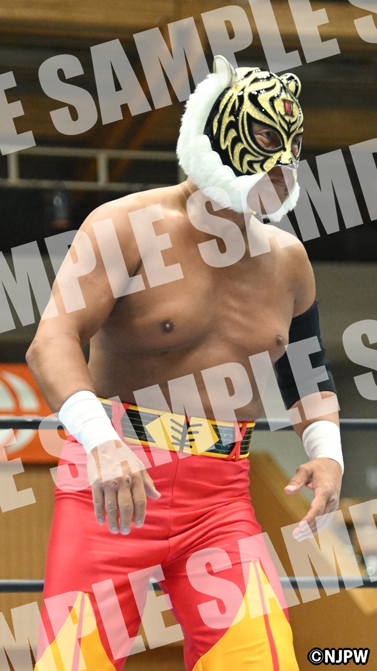 タイガーマスク | WALL PAPER | 新日本プロレスリング株式会社