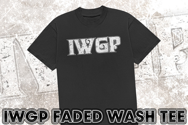 4.19後楽園大会から発売！パンフレット、ライオンマーク、IWGPロゴの