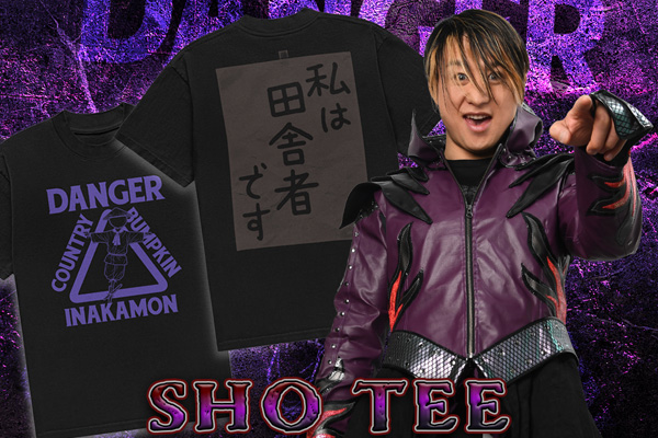 入手困難】NJPW 新日本プロレス 風神 雷神 YOH SHO クッション NJPW