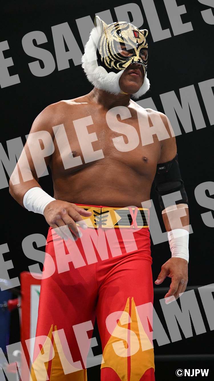タイガーマスク | WALL PAPER | 新日本プロレスリング株式会社
