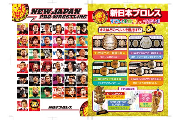 9月15日(火)北海道・北斗市総合体育館大会 来場記念クリアファイル