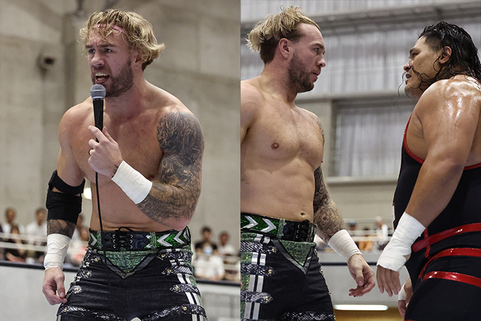 新日本プロレスリング株式会社