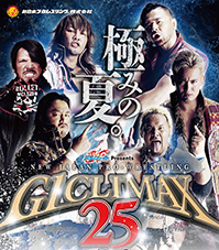 新日本プロレス2015年総集編 [DVD] ggw725x 新日本プロレスリング 2015年総集編 | 新日本プロレスリング