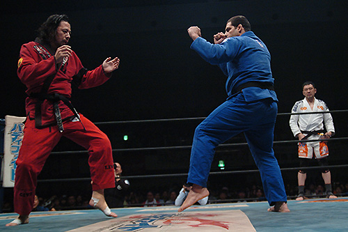 速報DVD!新日本プロレス2014 レスリングどんたく2014 5.3福岡国際… Amazon.co.jp: 速報DVD!新日本プロレス2014 レスリングどんたく