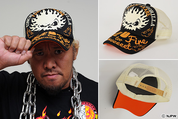 10月25日(土)後楽園大会から発売！ シリーズパンフレット、棚橋