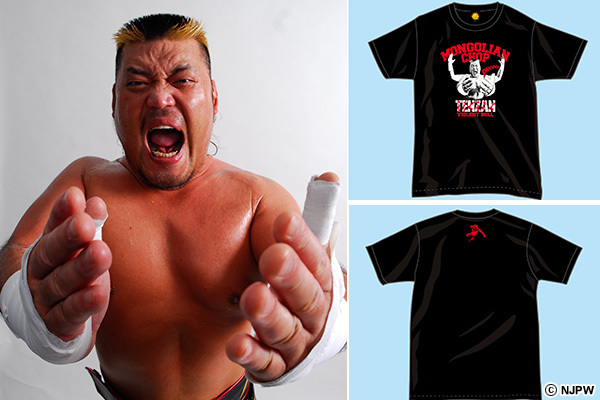 11月22日(土)後楽園大会から発売! シリーズパンフレット！天山・小島の